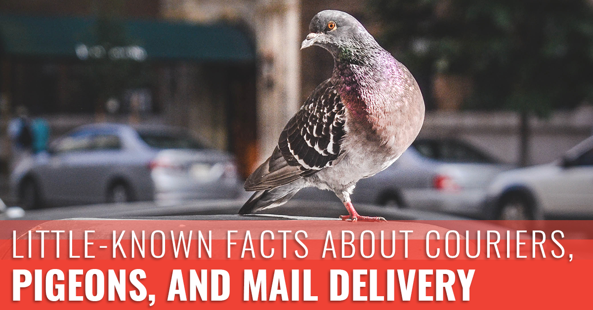 Little-Known-Facts-About-Couriers-5a9581b477b5e